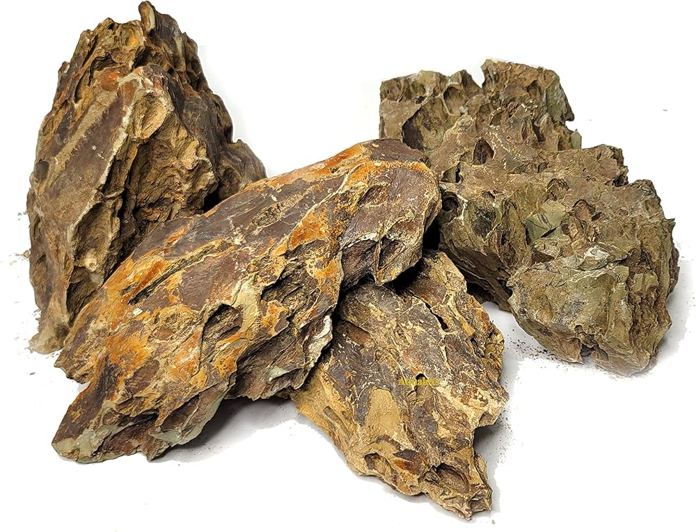 dragon-rock.jpg
