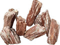 Petrified Wood Rock