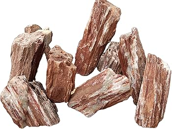 Petrified Wood Rock