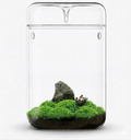 MS 150 Glass Container with Cover