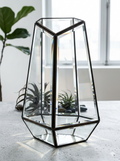 Abstract shape Terrarium Container