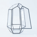 Abstract container for Terrarium