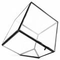 CHAOKE SQ 100 Glass Terrarium Cube