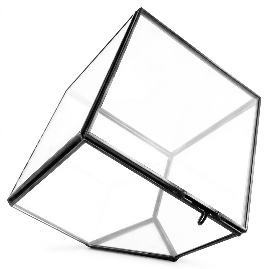 CHAOKE SQ 100 Glass Terrarium Cube