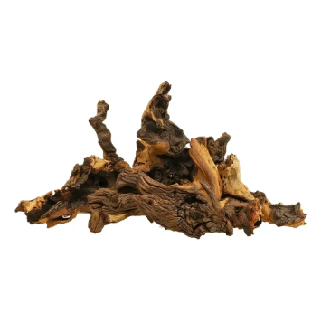 Indonesian Driftwood