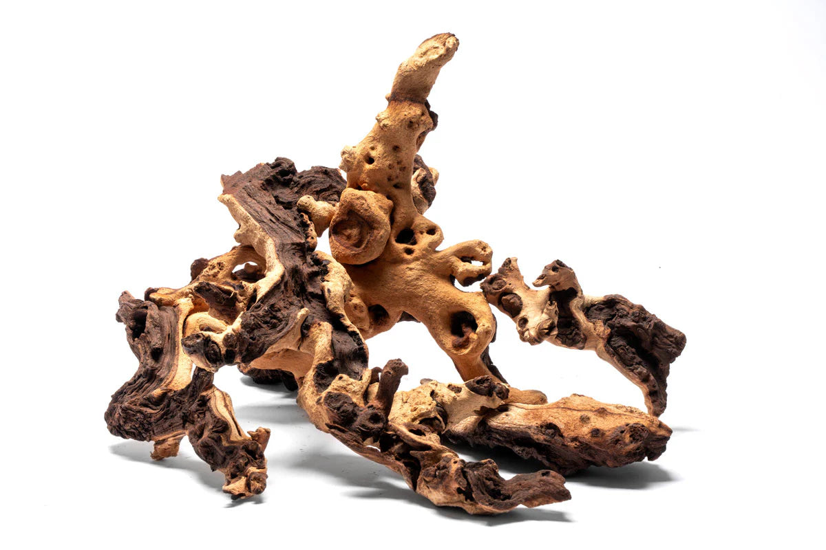 Premium Driftwood for Planted Tanks