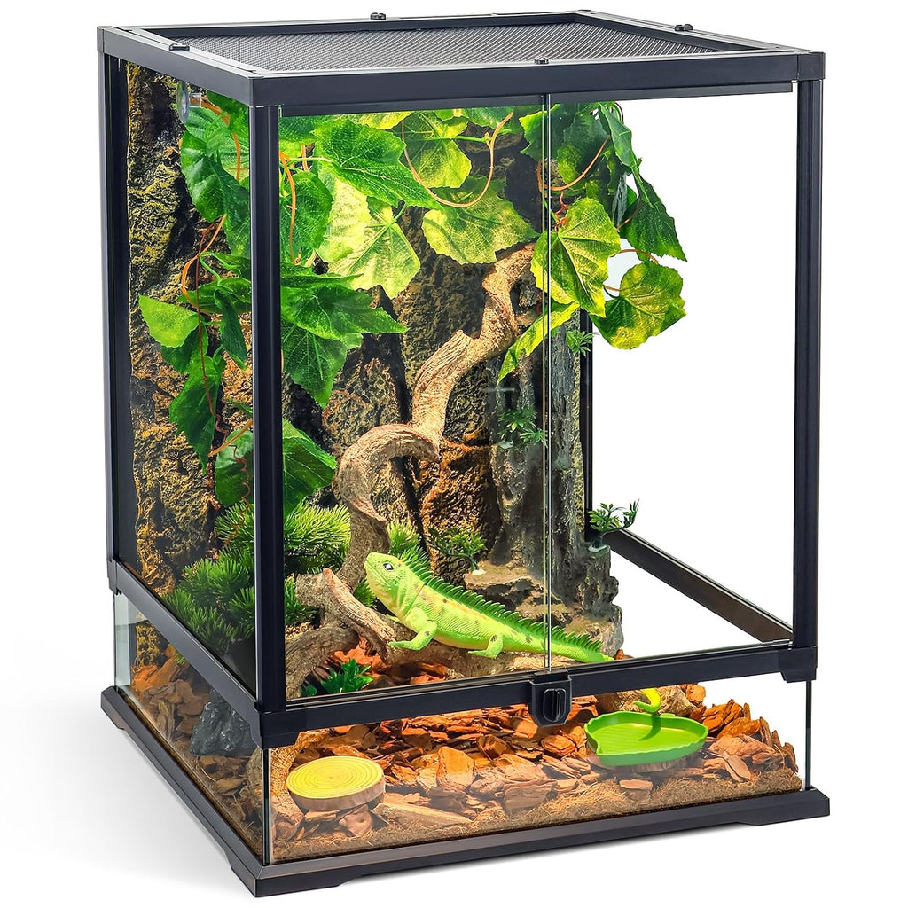Paludarium - Reptile Terrarium
