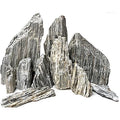 Fossil Wood Rock