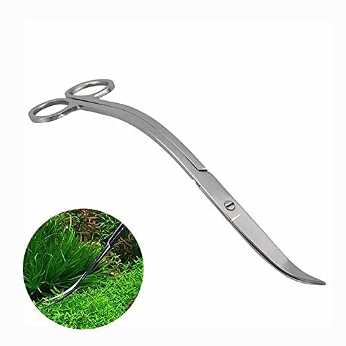 Wave Scissor Stainless Steel