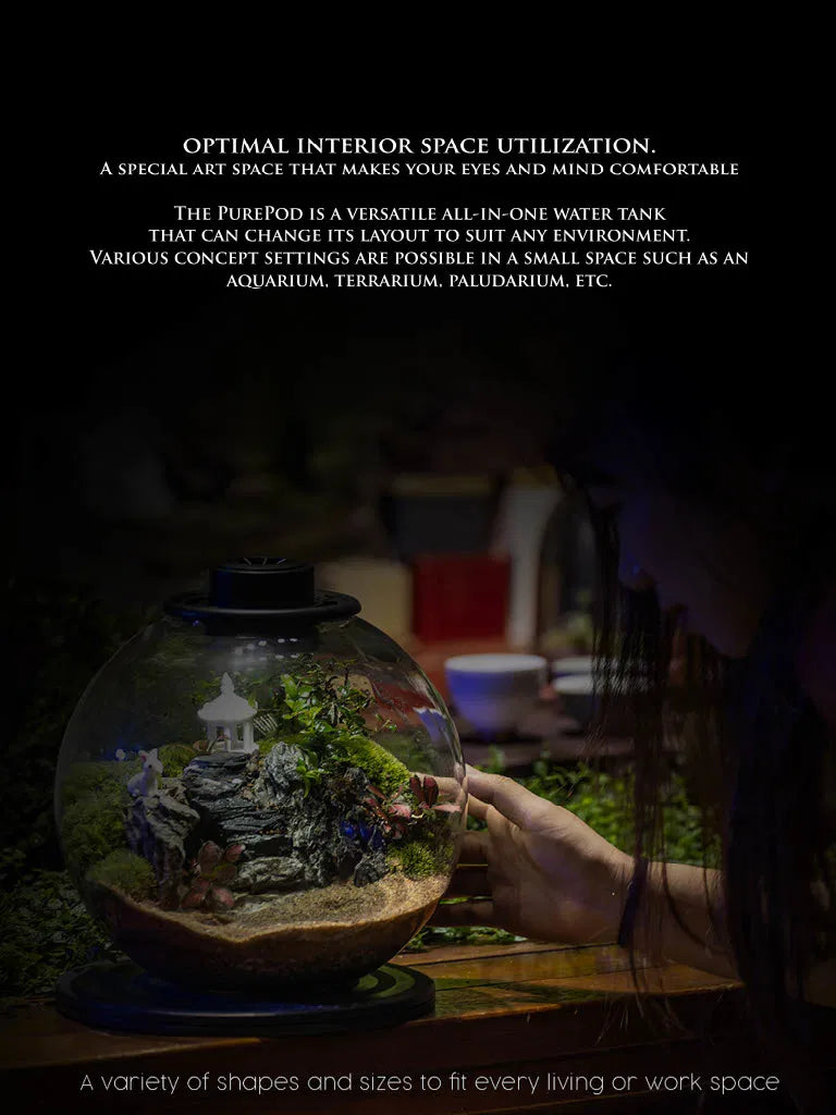 CHAOKE YQ 220 Glass Terrarium Jar
